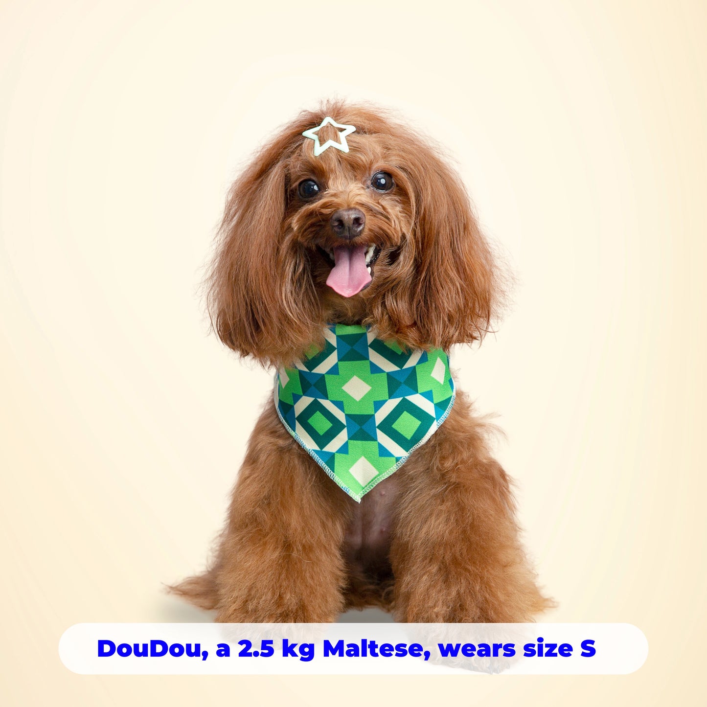 Jungle Gem Bandana