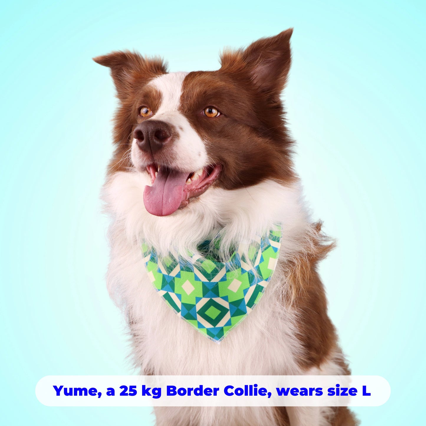 Jungle Gem Bandana