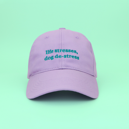 Life Stresses, Dog De-Stress Cap