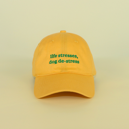 Life Stresses, Dog De-Stress Cap