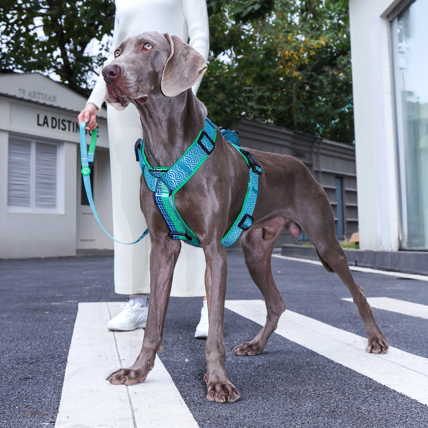 MotionGrip Padded Y-Harness™ - Eden