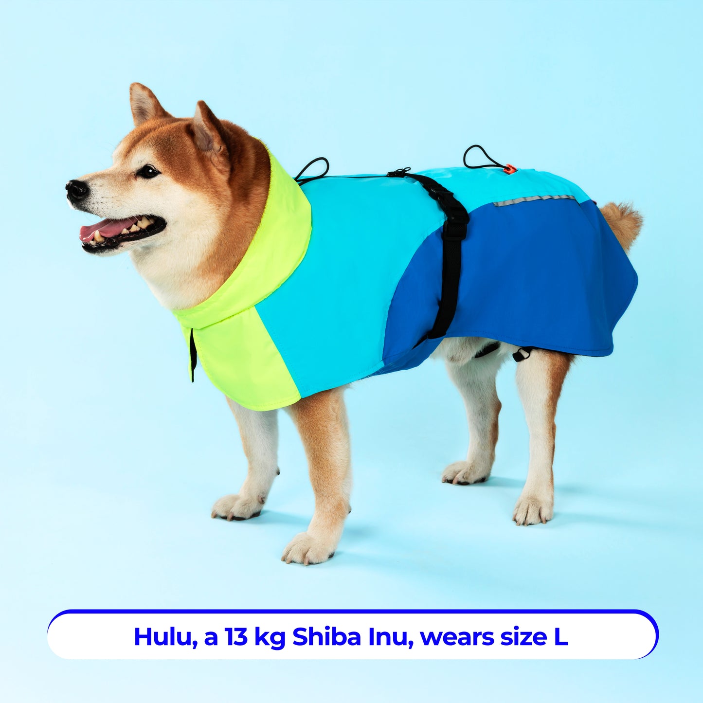 Dog Raincoat