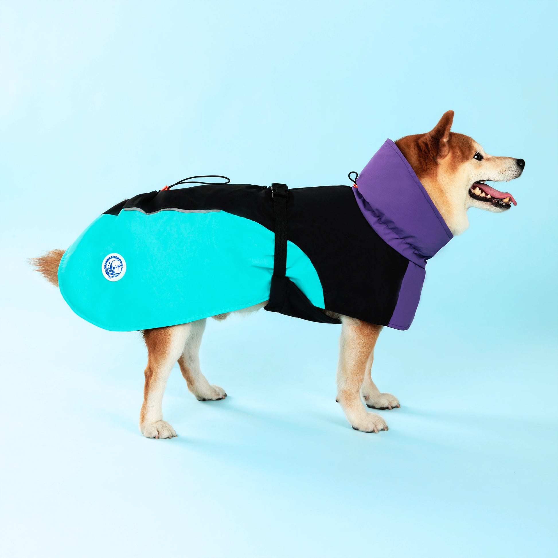 Dog Raincoat