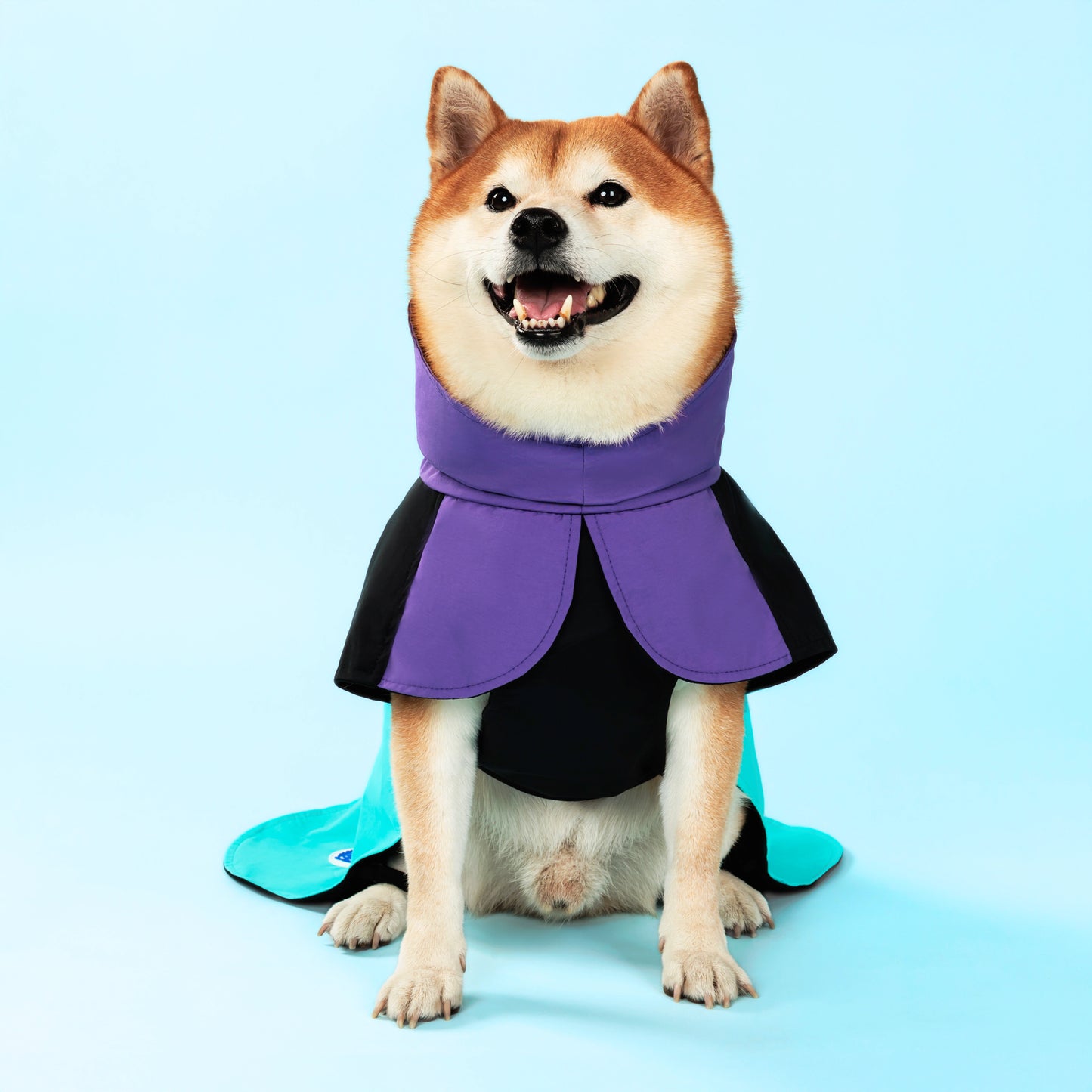 Dog Raincoat