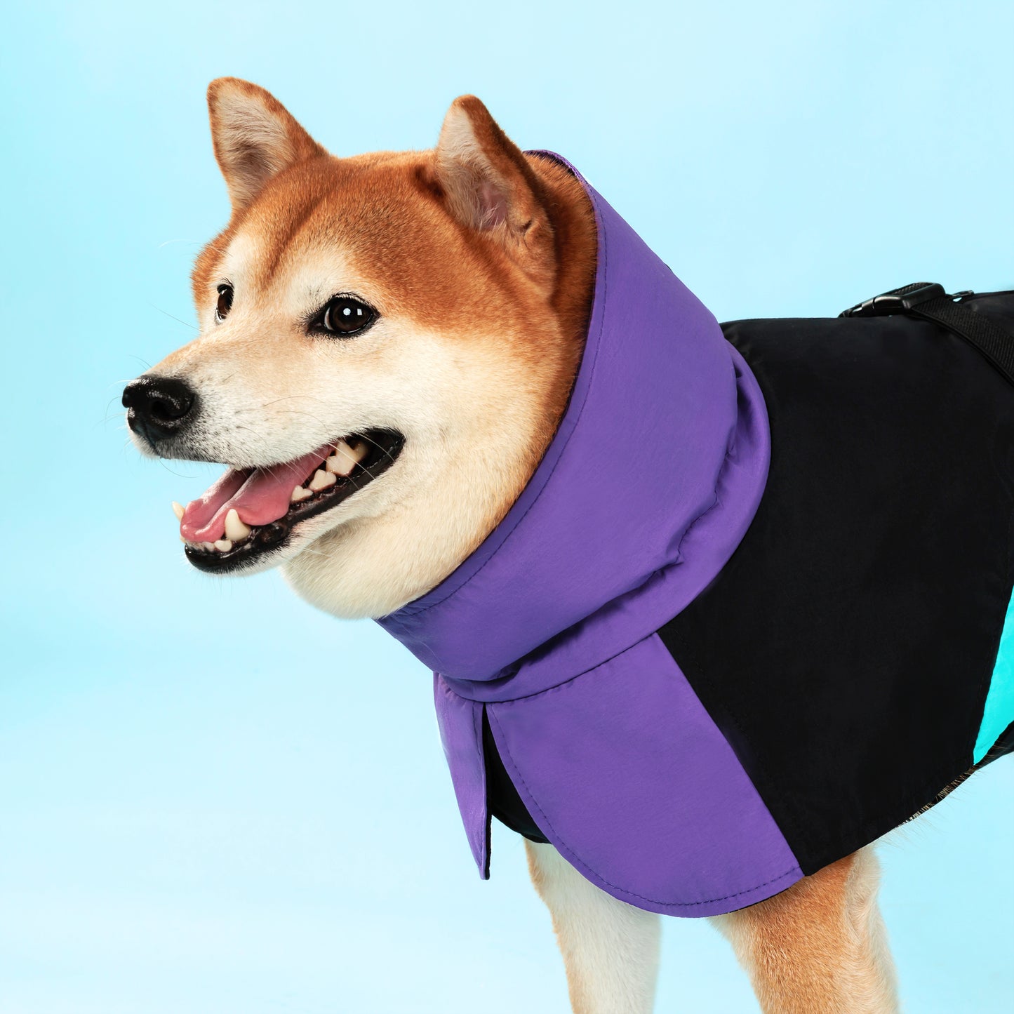 Dog Raincoat