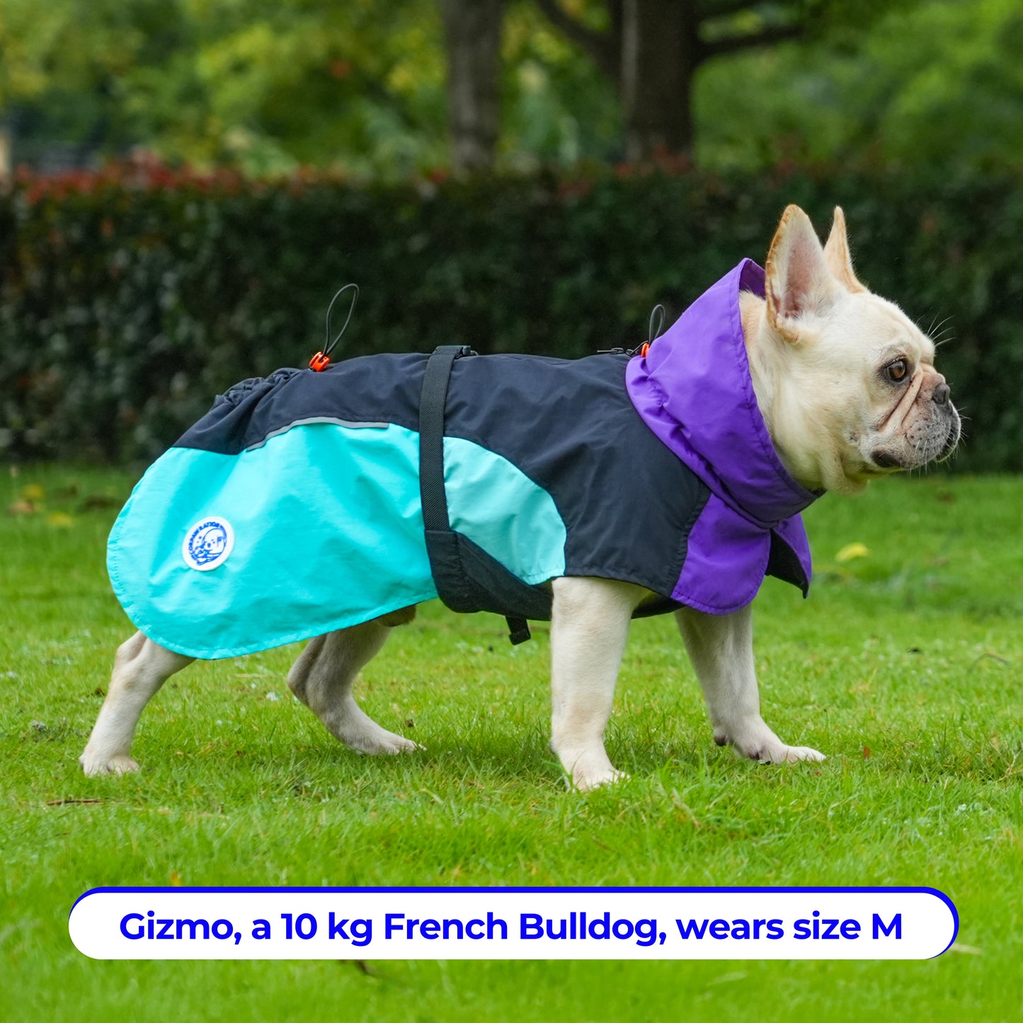 Dog Raincoat